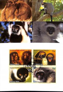 United Nations UN endangered species maximum card no. 93 monkeys