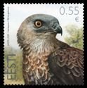 Estonia Estland 2015 Honey-buzzard Pernis apivorus Stamp MNH