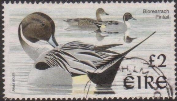 Ireland 1997 SG1061 £2 Northern Pintails FU