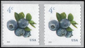 SC#5653 4¢ Blueberries Coil Pair (2022) SA