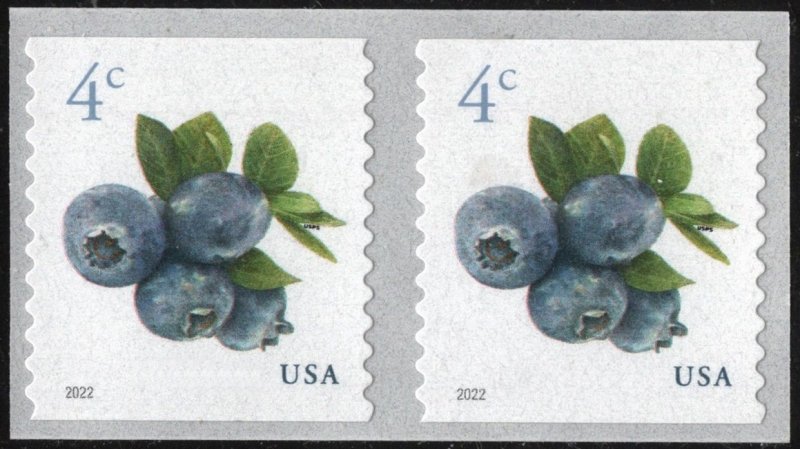 SC#5653 4¢ Blueberries Coil Pair (2022) SA