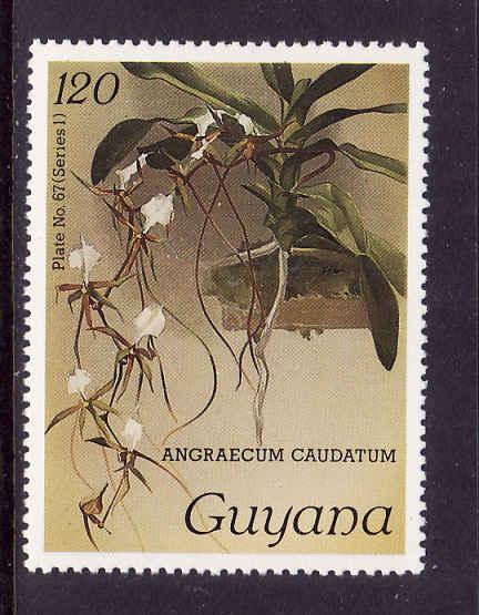 Guyana-Sc#1111-unused NH Orchid-Flowers-1985-87-