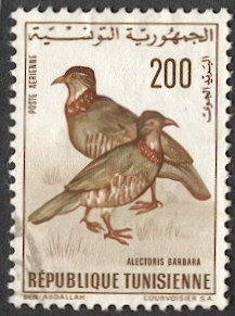 TUNISIA  1966 Sc C30 Used 200m Used VF - Barbary Partridges - Birds