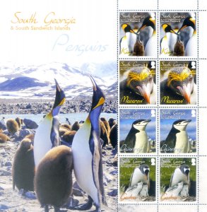 South Georgia. Fauna. 2010 Penguins.