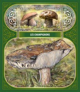 Togo - 2017 Mushrooms on Stamps - Stamp Souvenir Sheet - TG17402b