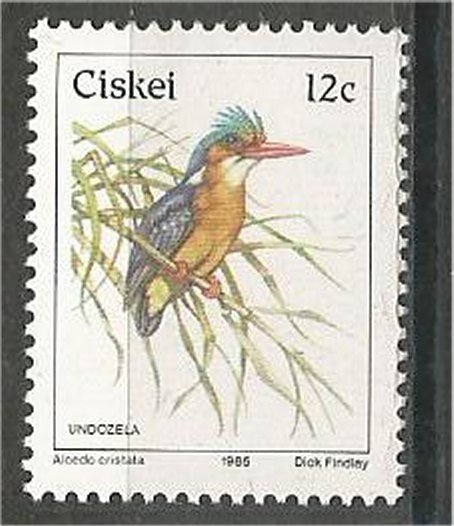 CISKEI, 1981, MNH 12c, Birds, Scott 16