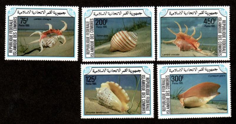 Comoro Islands # 609-613 Mint NH Sea Shells!