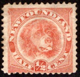 39a, NSSC, Newfoundland, 1/2c, orange red, Newfoundland Dog, Used, Scott 57