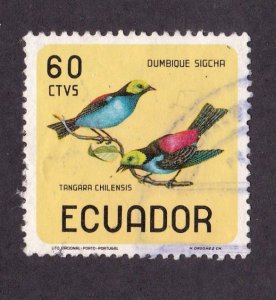 Ecuador          751b          used