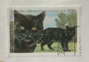 Congo 1999 Mi 1681 CTO - 300fr,  Domestic cats