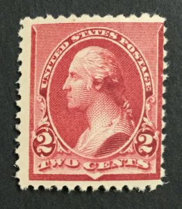 MOMEN: US #220a ONE HAT MINT OG NH POST OFFICE FRESH #30074