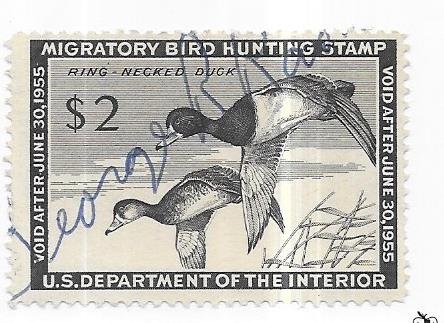 US #RW21 1954 $2 Federal Duck Stamp (U)  black  CV$10.00