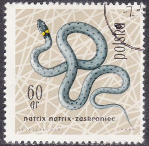 Poland 1137 Grass Snake 1963