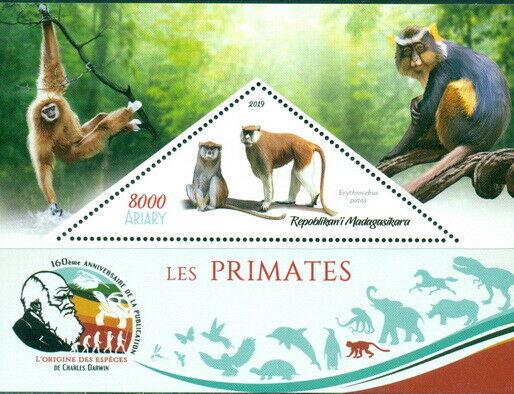 MONKEY APES PRIMATES FAUNA CHARLES DARWIN MADAGASCAR 2019 MNH STAMP SET 4 SHEETS