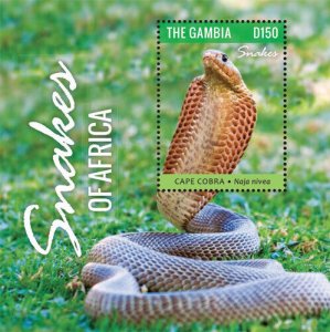 Gambia 2015 - Snakes of Africa - Souvenir stamp sheet - Scott #3631 - MNH