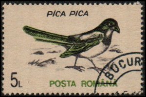 Romania 3812 - Cto - 5L Eurasian Magpie (1993)