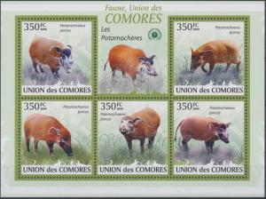 COMORES 2009 SHEET POTAMOCHERES WILD PIGS WILD BOARS WILDLIFE