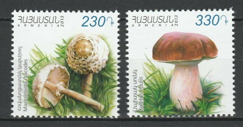 Armenia 2013 Mushrooms 2 MNH stamps