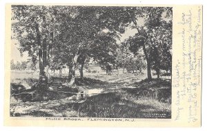 Mine Brook, Flemington, New Jersey Undivided Back Postcard, Mailed 1906