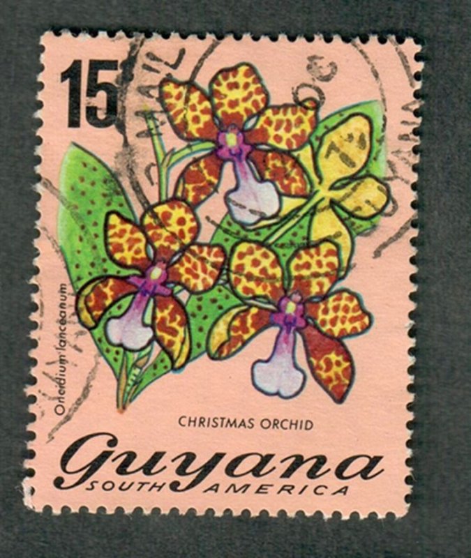 Guyana #139 used single