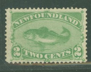 Newfoundland #47 Unused Single