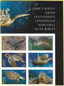 USA 5865a-70a (F) Sea Turtles 2024 block of 6 NO DIE CUTS