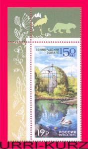 RUSSIA 2015 150th Anniversary of Leningrad Zoo Bird Pelican 1v Sc7662 Mi2203 MNH