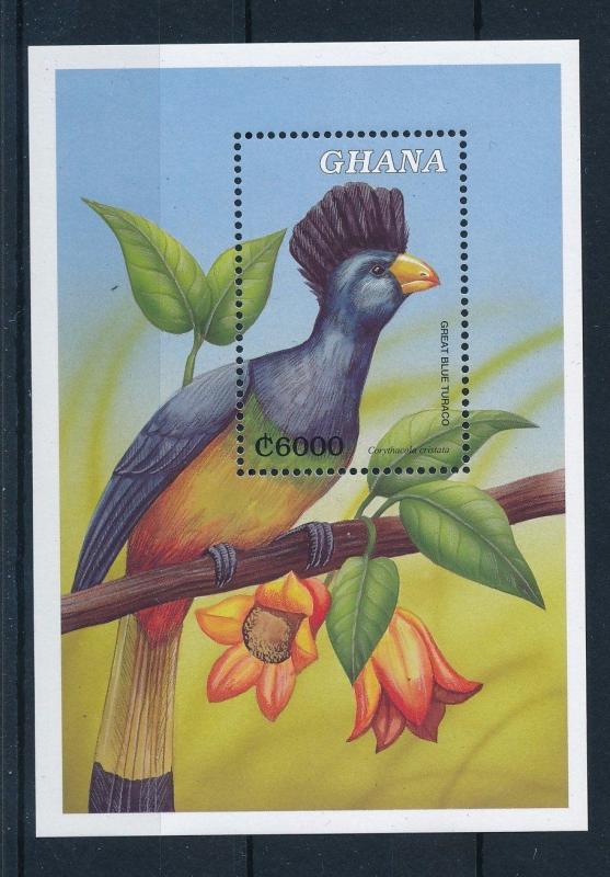 [29882] Ghana 2000 Birds Vögel Oiseaux Ucelli  MNH Sheet