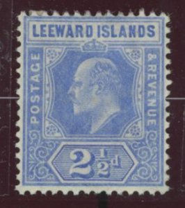 Leeward Islands #45  Single (King)