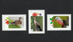 DUCK, TURKEY, CORMORANT = Picture Postage MNH stamp Canada 2015 [p15/10br3]