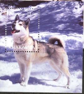 KHAKASSIA RUSSIA LOCAL SHEET DOGS HUSKY