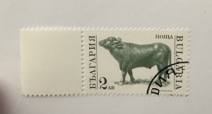 Bulgaria 1991  Scott 3589 used - 2l, Farm Animals