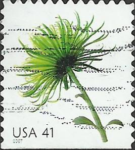 # 4176 USED CHRYSANTHEMUM