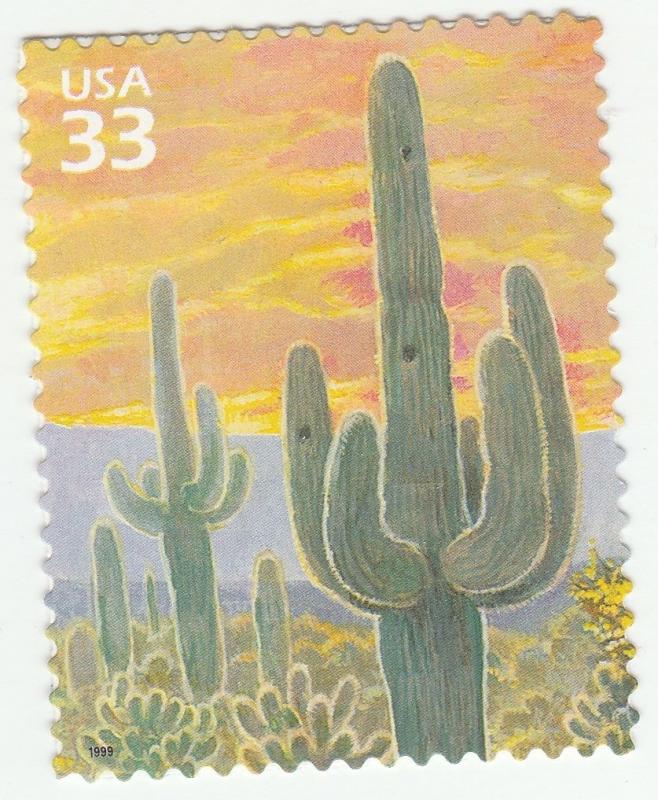 US 3293e Sonoran Desert Saguaro Cactus 33c single (1 stamp) MNH 1999