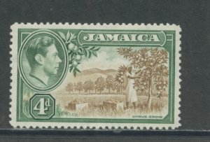 Jamaica 122 MHR cgs