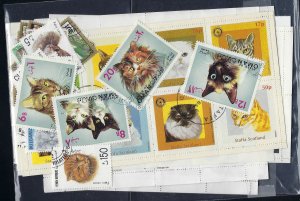 100 Different Cat Stamps (and a few dogs!)