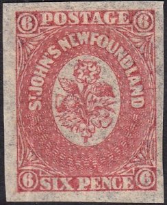 NEWFOUNDLAND 20 VF++ MH (71822) 