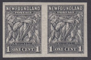 SG 222a Newfoundland 1932-38. 1c grey imperf pair. Unmounted mint, full-large...