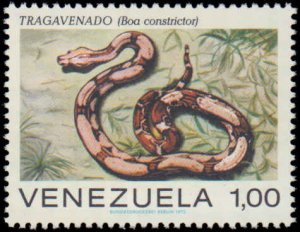 Venezuela #1007-1012, Complete Set(5), 1972, Reptiles, Snakes, Never Hinged