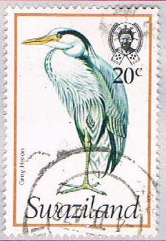 Swaziland 253 Used Heron 1976 (BP2605)