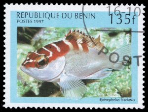 Benin #1047 Blacktip Grouper; CTO