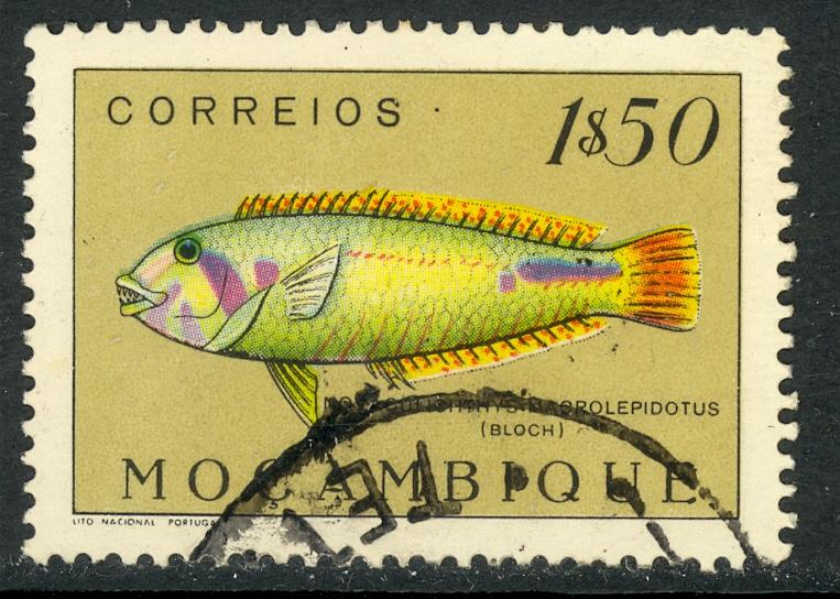 MOZAMBIQUE 1951 1.50e RAINBOW WRASSE Fish Pictorial Sc 340 VFU