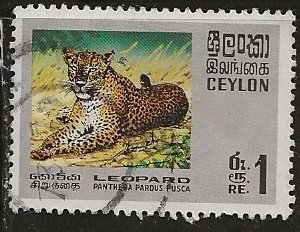 Ceylon ==  Scott #  442 - Used