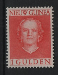 Netherlands New Guinea   #19  MNH 1952  Juliana   1g