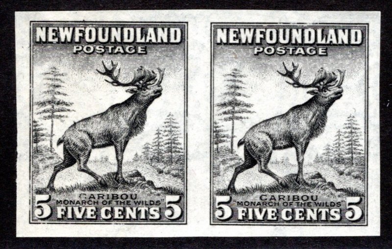 181i, NSSC, Die I, Caribou, 5c, IMPERF, MNHOG, Black, W/M Pos. 1, Newfoundland