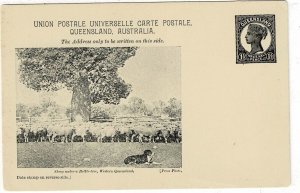 Queensland 1898 1 1/2d postal card unused, Sheep (and dog) under a Bottle Tree