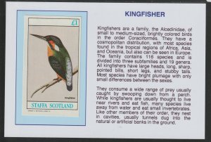 BIRDS - KINGFISHER  mounted on glossy card with text