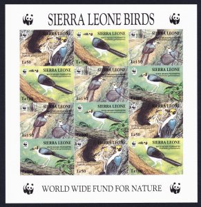 Sierra Leone Birds WWF White-necked Picathartes Imperf Sheetlet of 3 sets