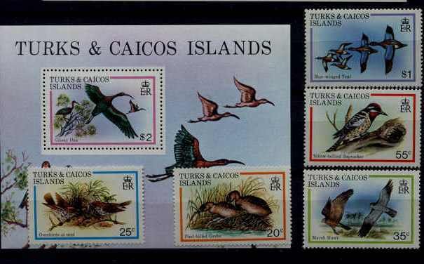 Turks Caicos 425-30 MNH Birds SCV12.65