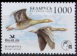 2009	Belarus	762	Birds